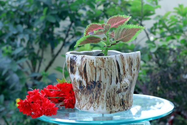 TOTOS MART WOODEN STYLE CERAMIC PLANT CONTAINER Plant Container Set