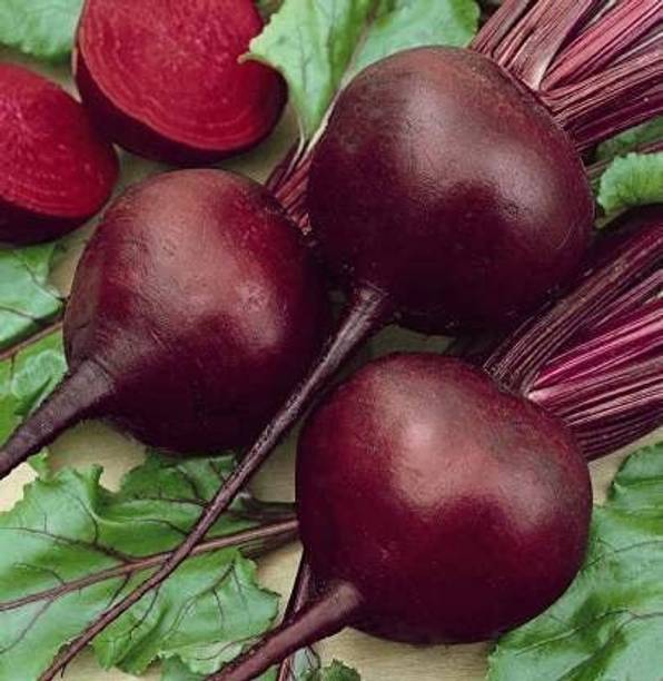 MKR Enterprises Beetroot Seed