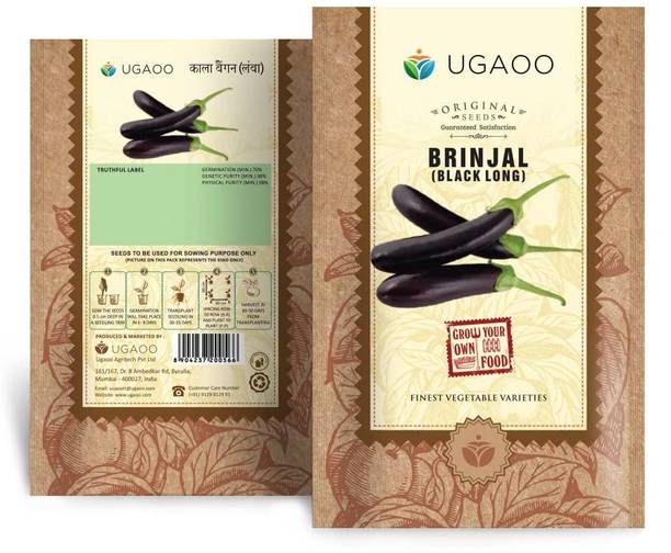 UGAOO Long Black Brinjal Vegetable Seed