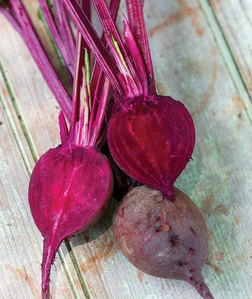 MKR Enterprises Beetroot Seed