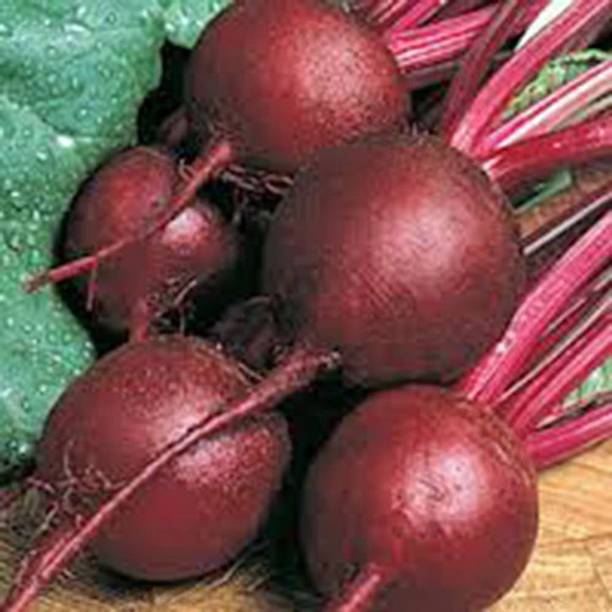 MKR Enterprises Beetroot Seed