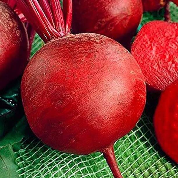 MKR Enterprises Beetroot Seed