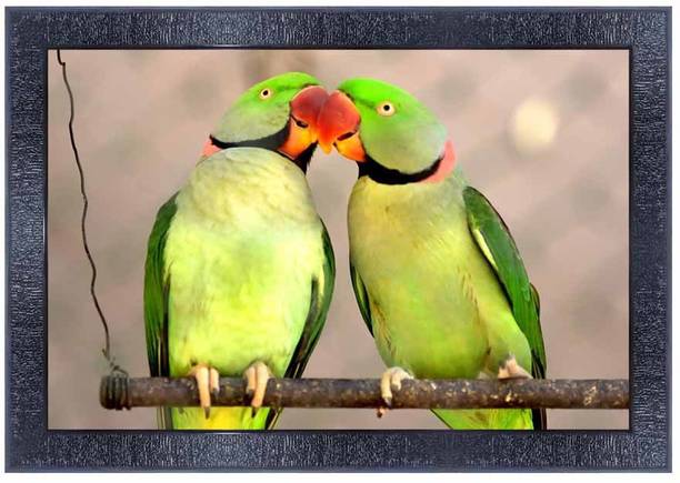 पीएनएफ Poster And Frame Parrot Wall Painting | Home Decoration Item | Best Gift Option डिजिटल रीप्रिंट 11 inch x 14 inch पेंटिंग