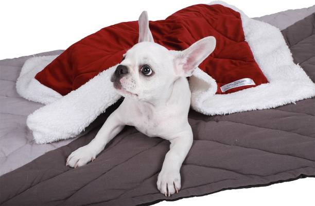 NUEVOS DOGGADIL 21009-S Dog, Cat Blanket