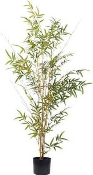natikrd Two Layer Bamboo Plant