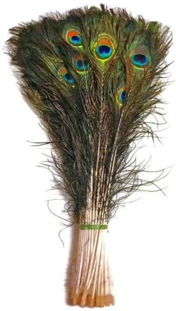 DEBALAYA Pack of 25 Decorative Feathers