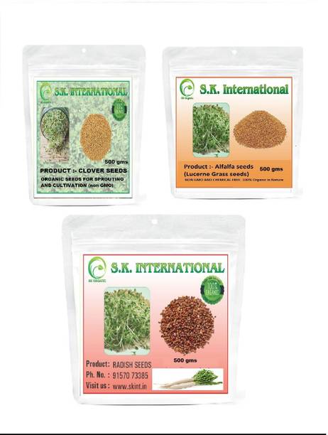 SK ORGANIC Clover , Radish and Alfalfa seeds (500gms each) for Sprouting and cultivation Seed