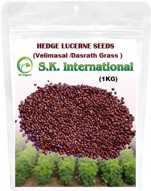 SK ORGANIC Hedge Lucerne (Vellimasal/Dasrath) grass seeds (1 KG) Seed
