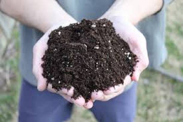 MASAGRO Potting Soil Mixture 100% Natural and Organic Soil Manure