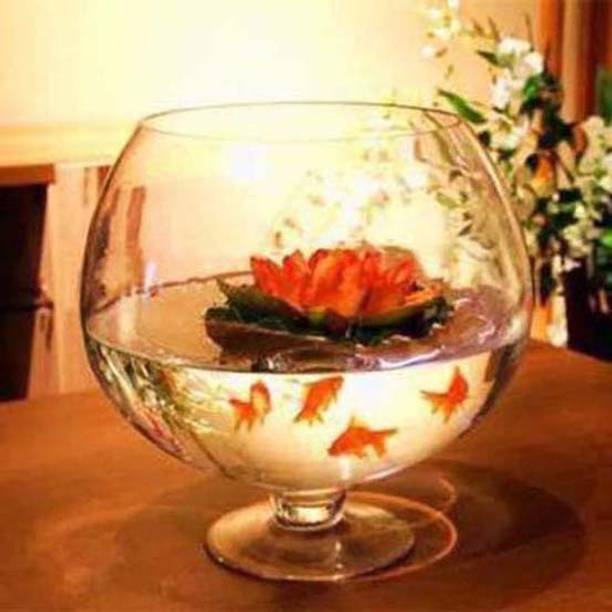 KAPDOLIYAS 3.5 L Fish Bowl