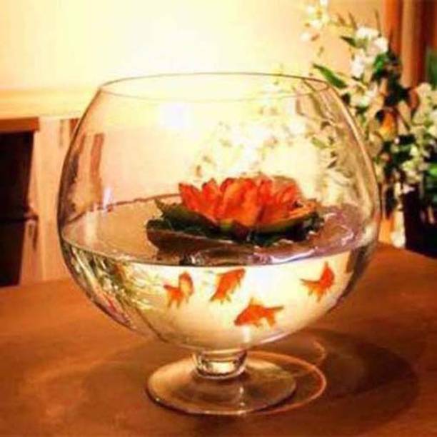 KAPDOLIYAS 3.5 L Fish Bowl