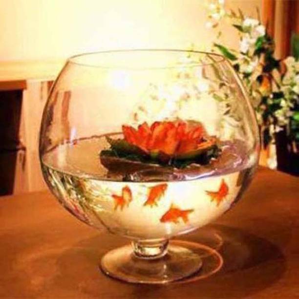KAPDOLIYAS 3.5 L Fish Bowl