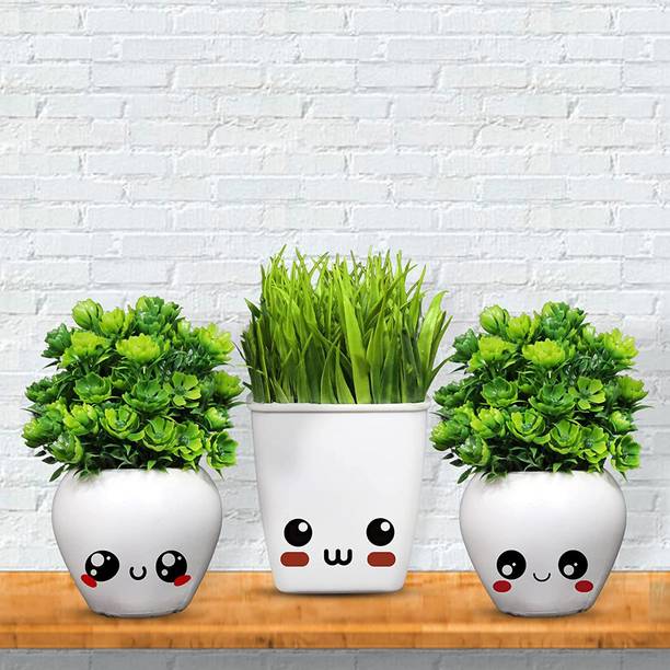 Elliptical Artificial Plants At Best S In India Flipkart Com - Living Room Artificial Plants Decoration Ideas Elliptical Artificial Plants At Best S In India Flipkart Com - Living Room Artificial Plants Decoration Ideas