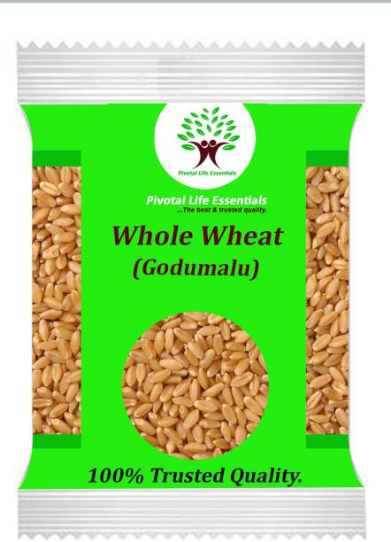 Pivotal Life Whole Wheat Whole Wheat