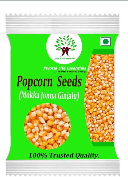 Pivotal Life Popcorn Kernals NA Popcorn