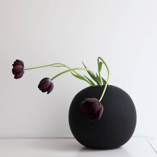 purezento Beautiful Decorative Vases with Unique Quality for Home Decor Ceramic Vase