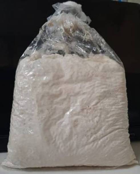 Qorn Oyster Mushroom Spawn/Seeds Edible CO2 Variety 1kg Seed