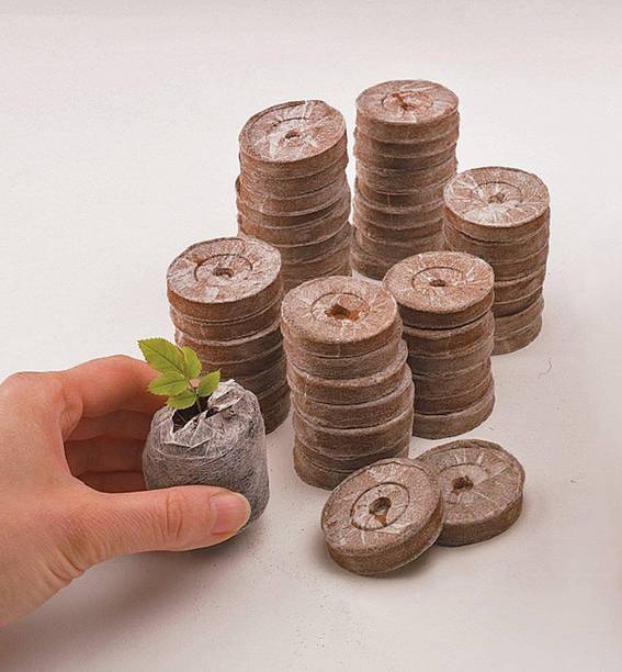 HOIVA Coir Seedling Coins Coco-peat ( Pack of 30) Manure