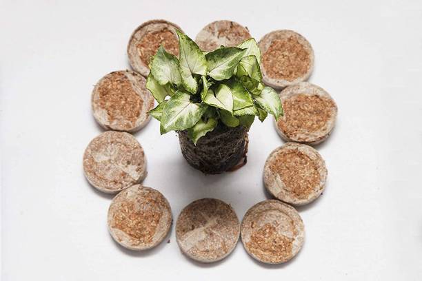 HOIVA ( Pack of 12) Coir Seedling Coins Coco-peat Disc Plant Starter Manure