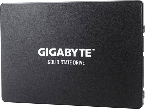 GIGABYTE SSD 1TB SATA 1 TB Desktop Internal Solid State Drive (SSD) (GP-GSTFS31100TNTD)