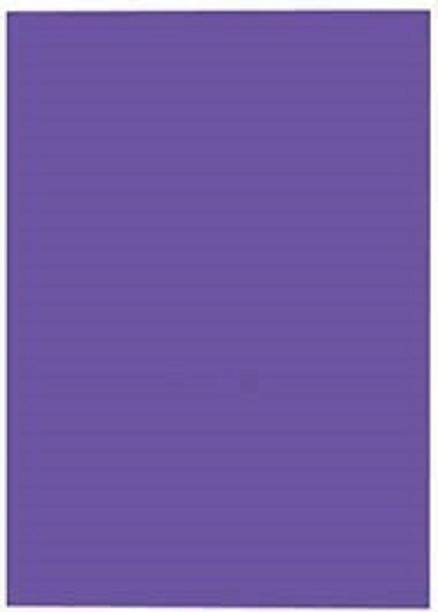 Eclet A4 20Sheet purple Color Paper (180-240 GSM) Coloured sheet A4 240 gsm Coloured Paper