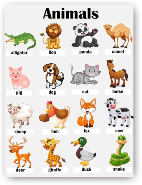 Animal Names Chart Kids learning | Poster for Kids Learning, Kindergarten | Paper Print Paper Print
