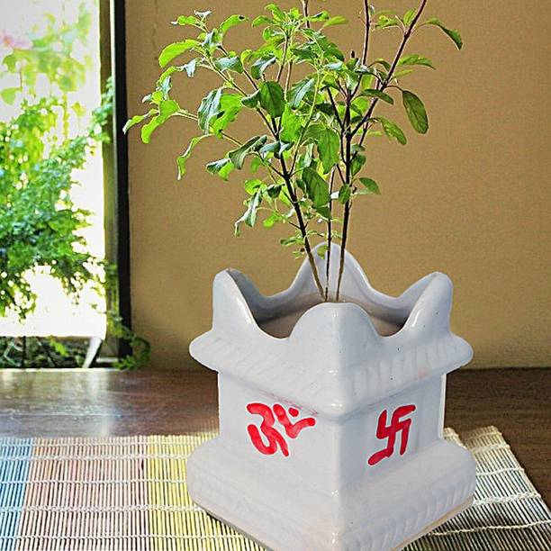 R H D Enterprises Ceramic Plant Container Tulsa Ji Pot, Perfect For Puja Ghar, Small Bansoi Plant Container Set