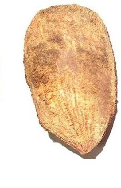NEERAJ Original Ekakshee/Ekakshi Nariyal/One Eye Coconut for Pooja-2 pc Wooden Yantra