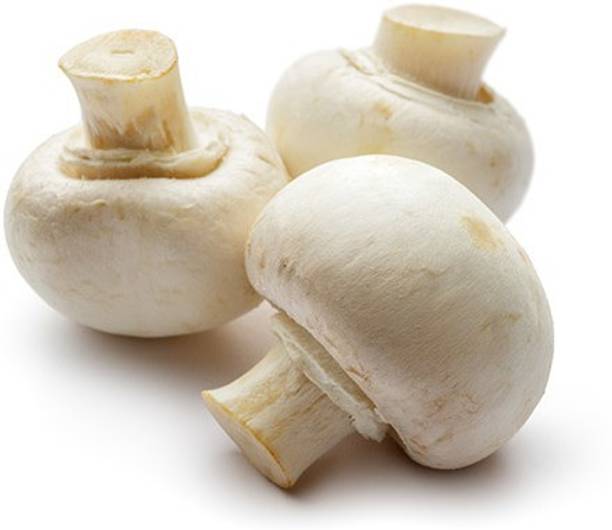 Mozette Mushroom Herb Seed