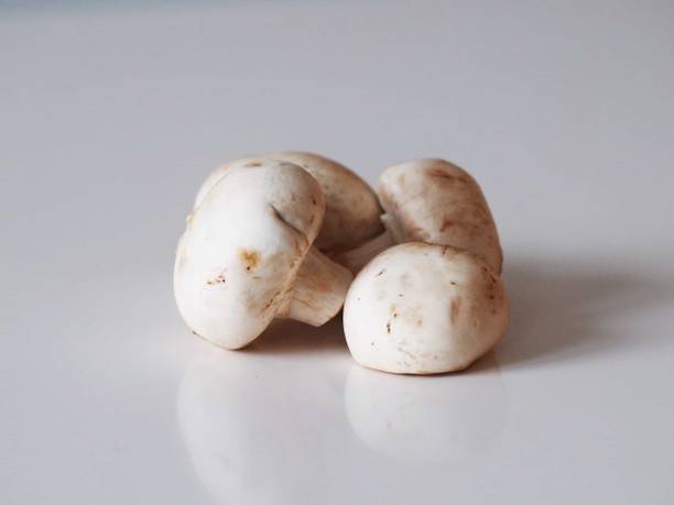 XOLDA Mushroom Herb Seed
