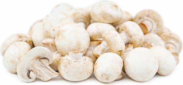 Paudha Mushroom Herb Seed