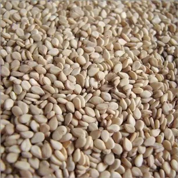 MAA Mushroom Seed