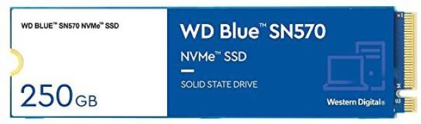 WD WD Blue NVMe SN570 250 GB Desktop, Laptop Internal Solid State Drive (SSD) (WDS250G3B0C)