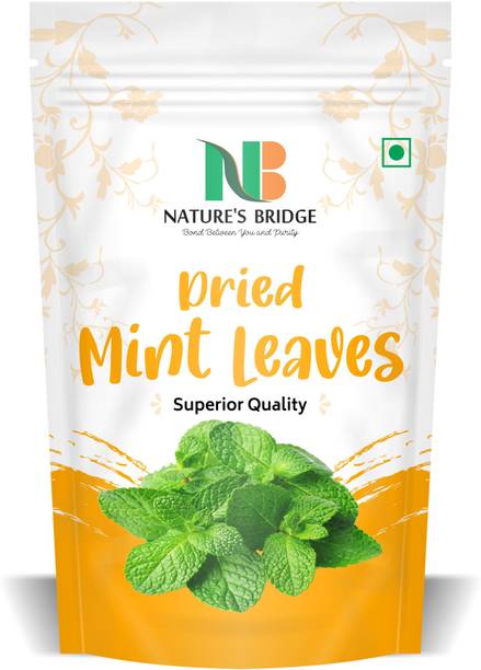 Nature's Bridge Dry Pudina Leaves | Natural Mint Leaf | Pure & Refreshing Pudina Leaf - 50 Gm