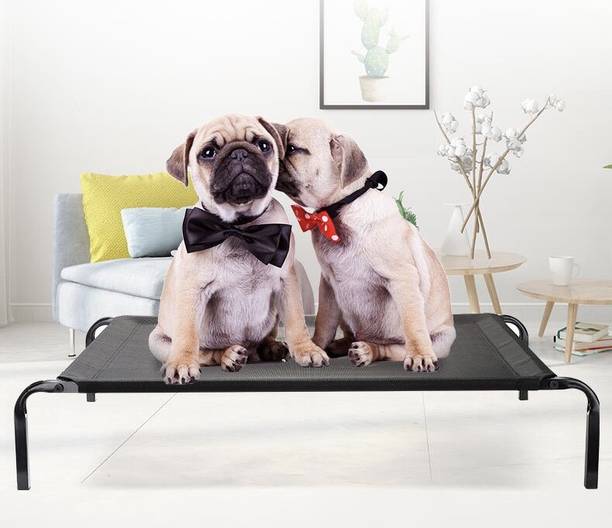 KUTKUT KCBED01LY33BK S Pet Bed