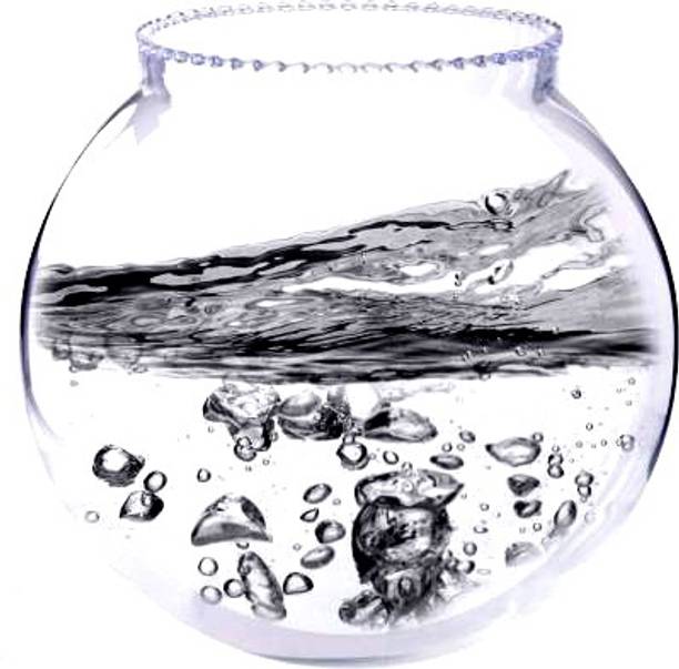 BILAL ANSARI Aqua_20 presenting cute & glossy looking glass fish aquarium (pack of 1,8 inch) Round Ends Aquarium Tank
