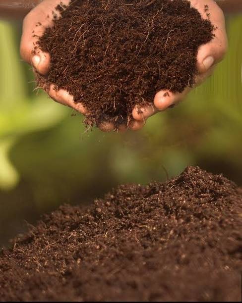 paudhawala 500 gm cocopeat Husk