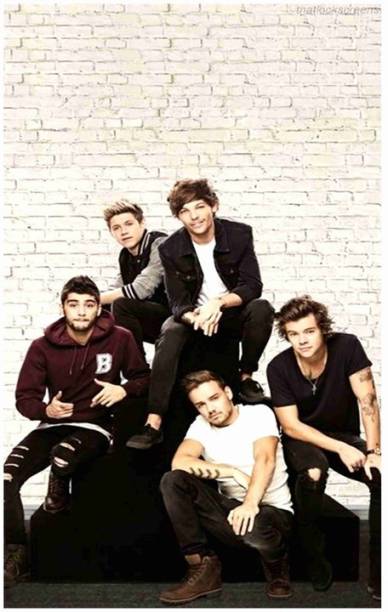 One Direction Flex Poster For Room Mo-4467 Photographic Paper
