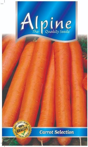 ALPINE HYBRIDE SEEDS CARROT SEEDS Seed