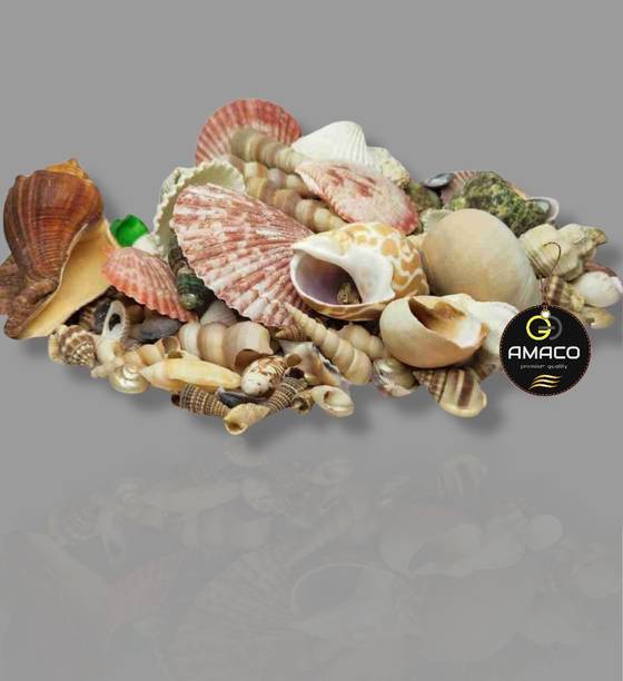 AMACO Sea Shale for aquarium decoration sea shales Shale Unplanted Substrate Shale Unplanted Substrate