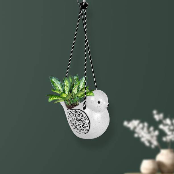 Justoriginals Hanging Bird Ceramic Flower Pot (Color : White) Plant Container Set