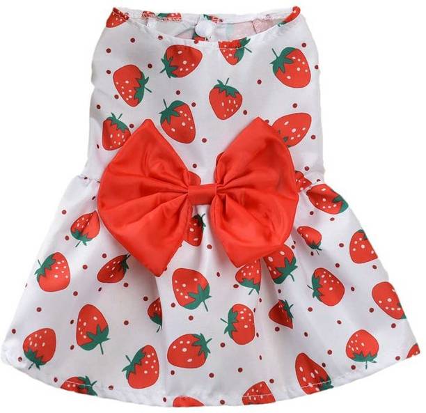 PETANGEL Frock for Dog