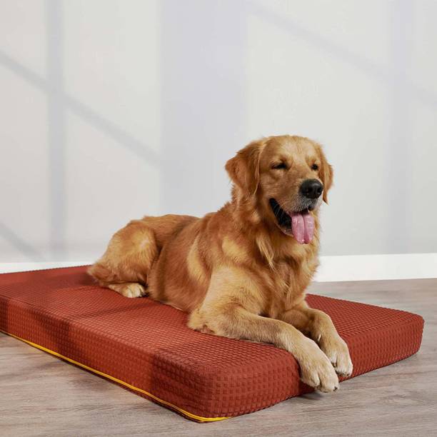 SleepyCat Dog Bed, Splash Resistent L Pet Bed