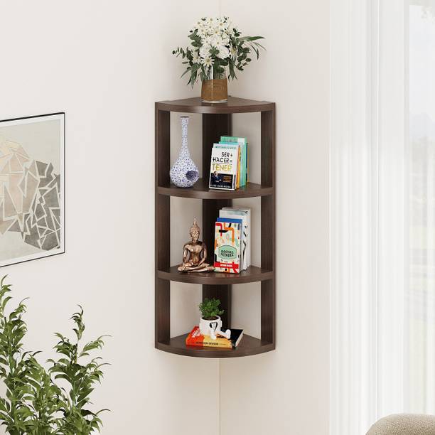 BLUEWUD Alba Engineered Wood Open Book Shelf