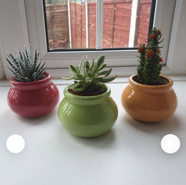 OriginalCeramics Small Handi Shape Ceramic Pot Plant Container Set