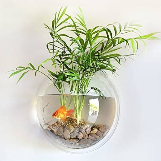 SAVORADE Wall Mount Acrylic Fish Aquarium Bowl Tank for Small Betta Fish & Plants aqua_10 Round Ends Aquarium Tank