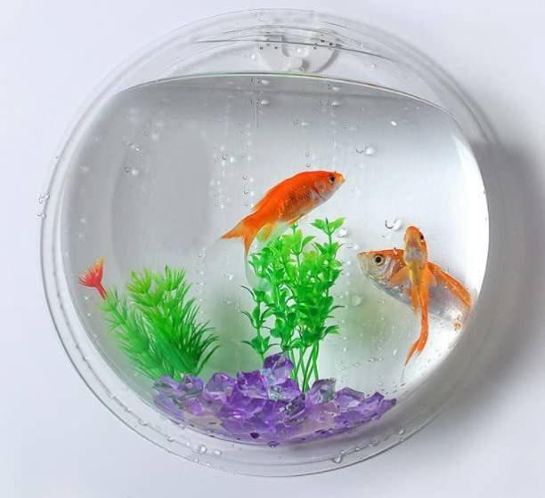 SAVORADE Wall Mount Acrylic Fish Aquarium Bowl Tank for Small Betta Fish & Plants- Clear Round Ends Aquarium Tank