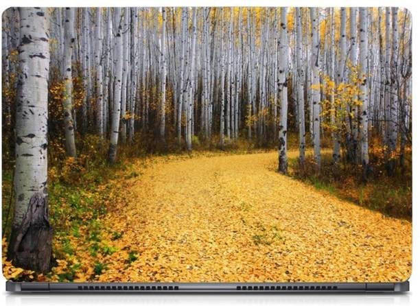i-Birds ® Aspen Forest Colorado Exclusive High Quality Laptop Decal, laptop skin sticker 15.6 inch (15 x 10) Inch iB-5K_skin_0532 High Quality HD Printed Vinyl Laptop Decal 15.6