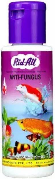 Kapoor Enterprise Internal Anti-fungal Medication Liquid