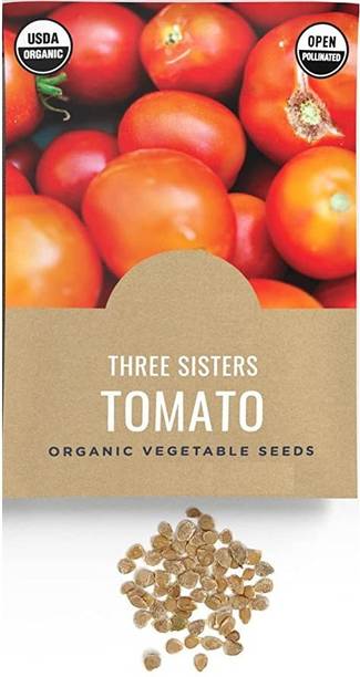 CYBEXIS PAU-96 - Three Sisters Tomato - (1350 Seeds) Seed